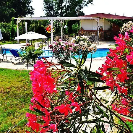 Πανσιόν Dafnes