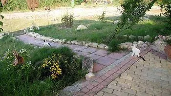 Dafnes Фурка