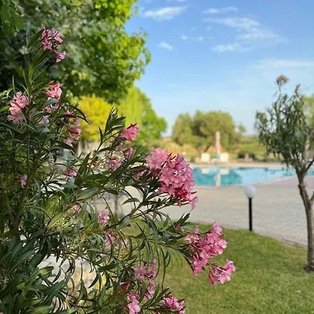 Dafnes בית הארחה פורקה