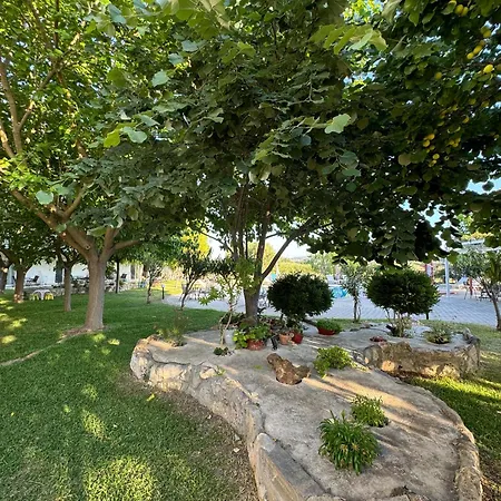 Dafnes בית הארחה 3*