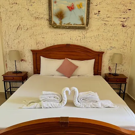 בית הארחה Dafnes